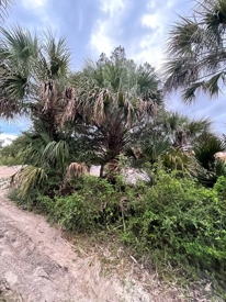 Listing 136