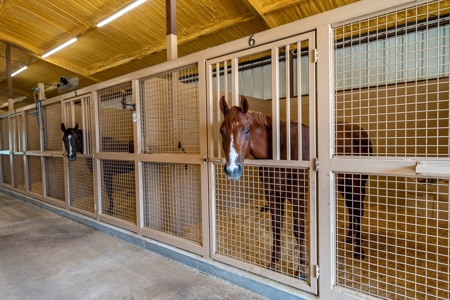 Equine Facility for Sale in Azle Texas | Parker County - image 32