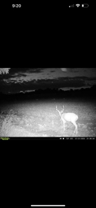Adair County Combo Farm - image 30