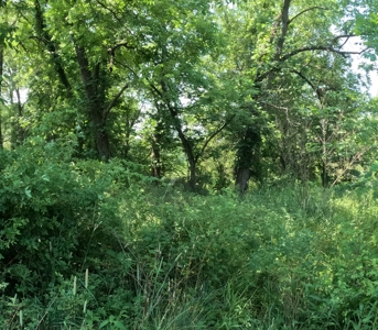 Adair County Combo Farm - image 21