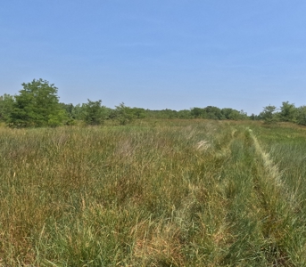 Adair County Combo Farm - image 26