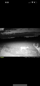 Adair County Combo Farm - image 31