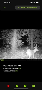 Adair County Combo Farm - image 28