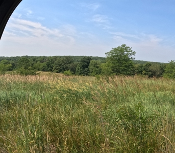 Adair County Combo Farm - image 16
