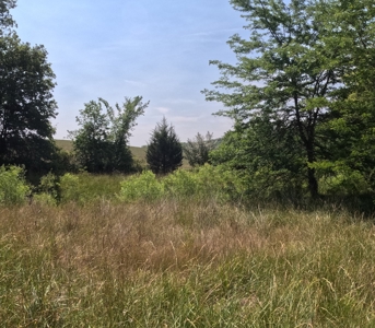 Adair County Combo Farm - image 20