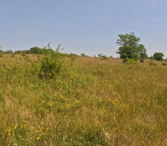 Adair County Combo Farm - image 23