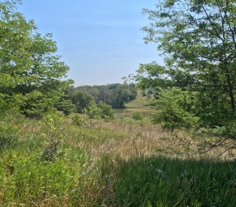 Adair County Combo Farm - image 24