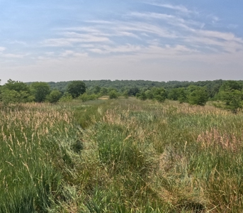 Adair County Combo Farm - image 17