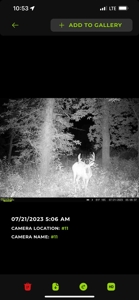 Adair County Combo Farm - image 29
