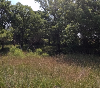 Adair County Combo Farm - image 19