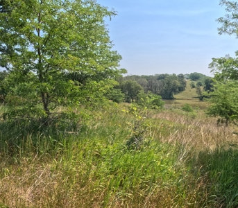 Adair County Combo Farm - image 25