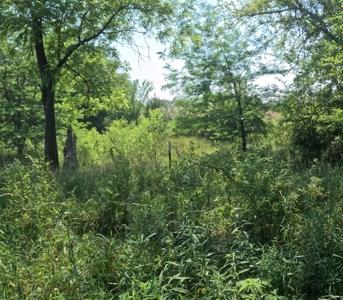 Adair County Combo Farm - image 22