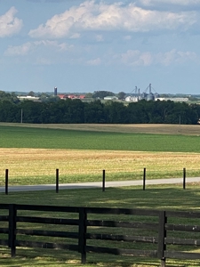 Luxury Home, Equestrian & 5 Acres For Sale Russellville, KY - image 49