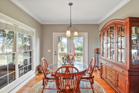 Luxury Home, Equestrian & 5 Acres For Sale Russellville, KY - image 22