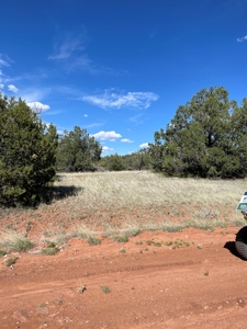 Are You Looking For A Bridge Canyon Ranch - image 1