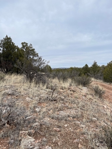 Are You Looking For A Bridge Canyon Ranch - image 9