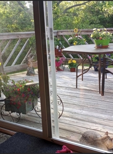 Country Home in Fulton County, Arkansas - image 28