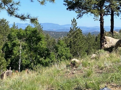 Luxury Off-Grid Home for Sale in Westcliffe Colorado - image 21