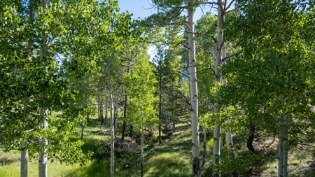 Luxury Off-Grid Home for Sale in Westcliffe Colorado - image 31