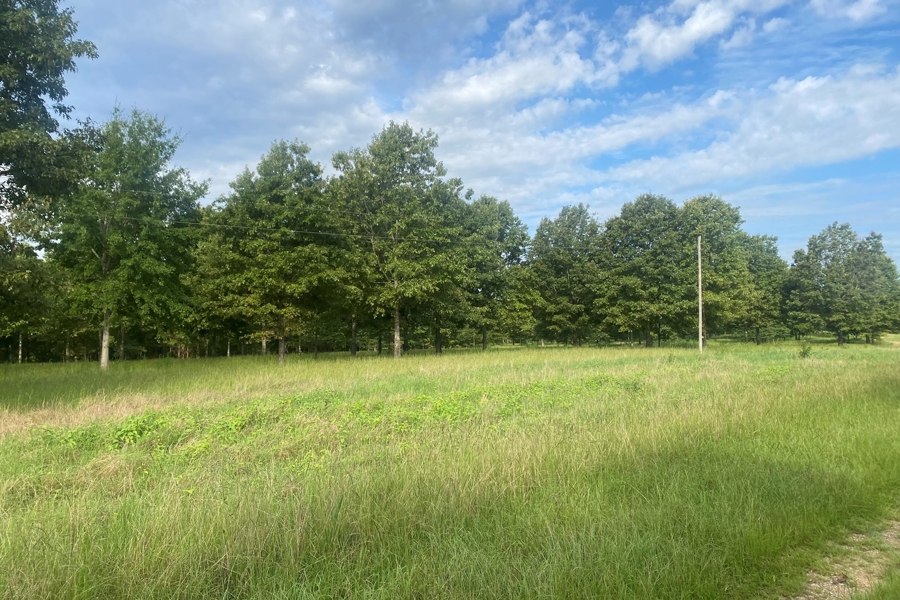 Hunting Land for Sale in Boligee AL