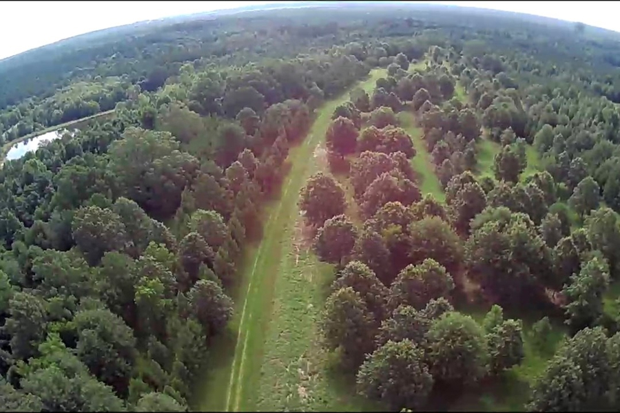 Hunting Land for Sale in Boligee AL