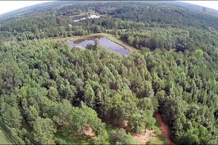 West Alabama Blackbelt Hunting & Fishing Tract in Boligee AL - image 18