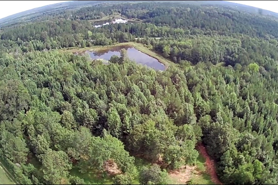 Hunting Land for Sale in Boligee AL