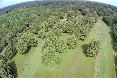 West Alabama Blackbelt Hunting & Fishing Tract in Boligee AL - image 16