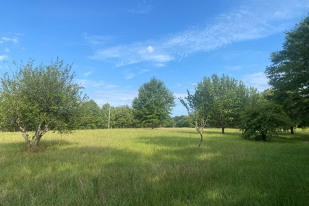 West Alabama Blackbelt Hunting & Fishing Tract in Boligee AL - image 13
