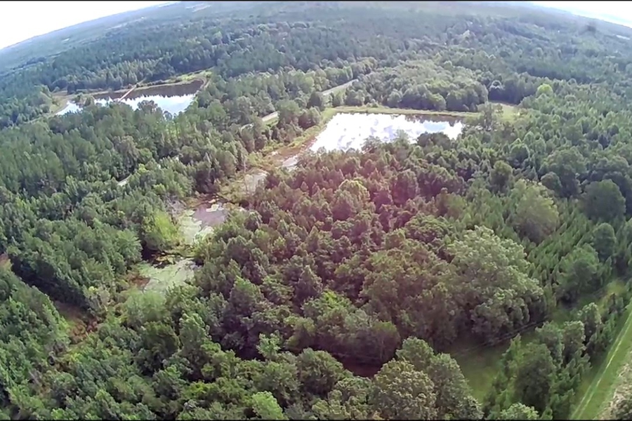 Hunting Land for Sale in Boligee AL