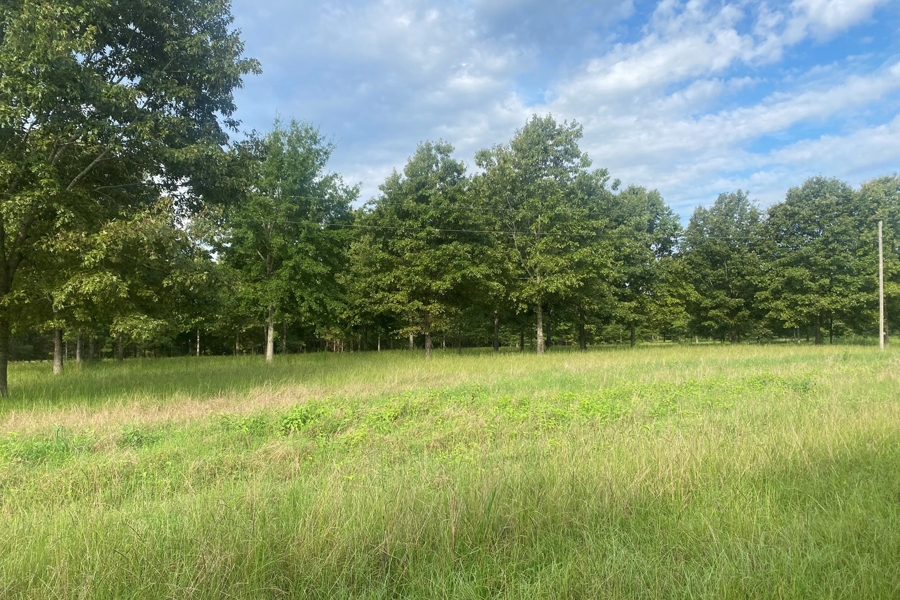 Hunting Land for Sale in Boligee AL