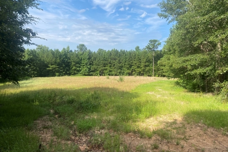 West Alabama Blackbelt Hunting & Fishing Tract in Boligee AL - image 4