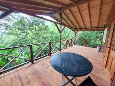 Titled Jungle Home in Small Community, Isla Colon - image 12