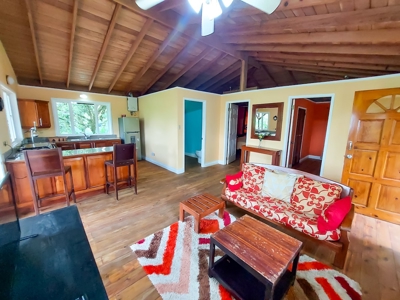 Titled Jungle Home in Small Community, Isla Colon - image 15