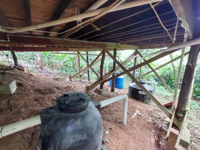 Titled Jungle Home in Small Community, Isla Colon - image 23