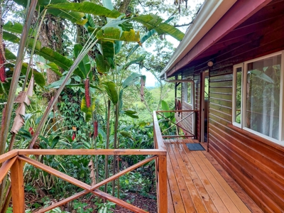 Titled Jungle Home in Small Community, Isla Colon - image 26