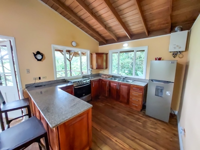 Titled Jungle Home in Small Community, Isla Colon - image 5