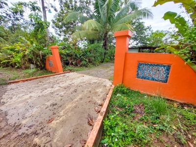Titled Jungle Home in Small Community, Isla Colon - image 29