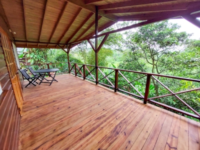 Titled Jungle Home in Small Community, Isla Colon - image 10
