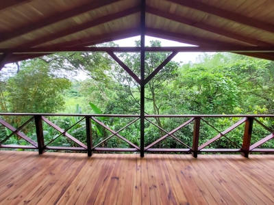 Titled Jungle Home in Small Community, Isla Colon - image 11