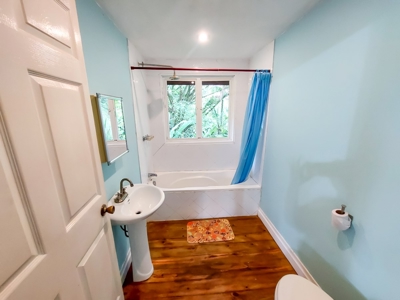 Titled Jungle Home in Small Community, Isla Colon - image 6