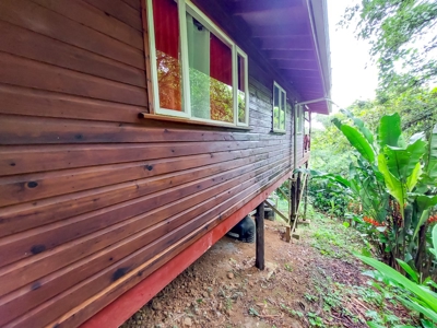 Titled Jungle Home in Small Community, Isla Colon - image 22