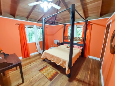 Titled Jungle Home in Small Community, Isla Colon - image 7