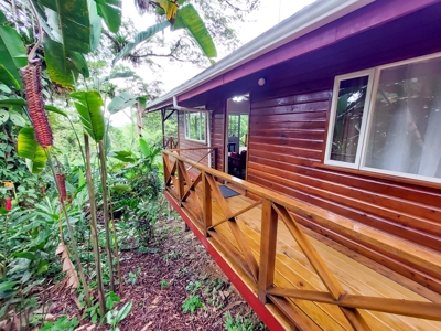 Titled Jungle Home in Small Community, Isla Colon - image 20