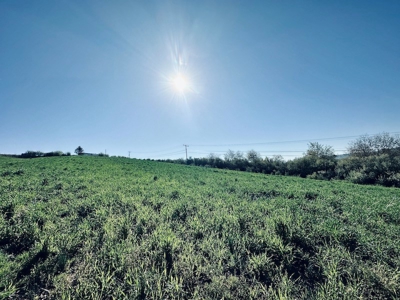 Commercial Land for Sale in Wythe County VA! - image 8