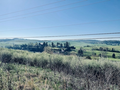 Commercial Land for Sale in Wythe County VA! - image 14