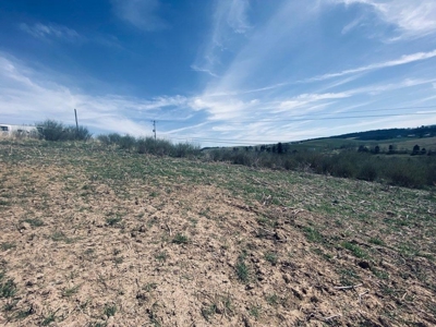 Commercial Land for Sale in Wythe County VA! - image 2