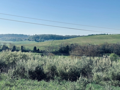 Commercial Land for Sale in Wythe County VA! - image 13