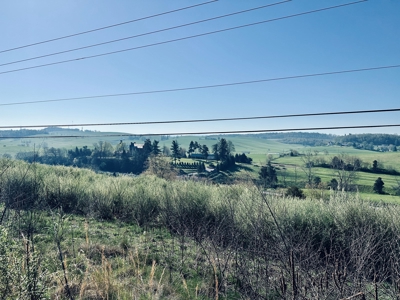 Commercial Land for Sale in Wythe County VA! - image 1