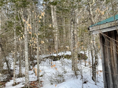 Yurt with Nearby Lake Access - image 5